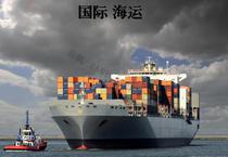 深圳国际货代海运